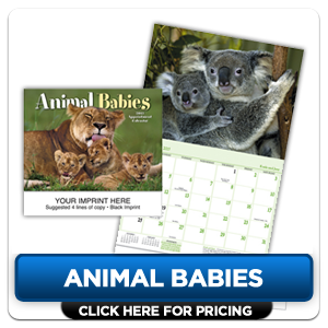 Personalized Calendars - Animal Babies!