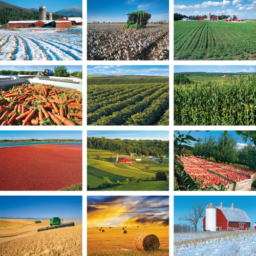 Scenic Personalized Calendar - America's Bounty #831