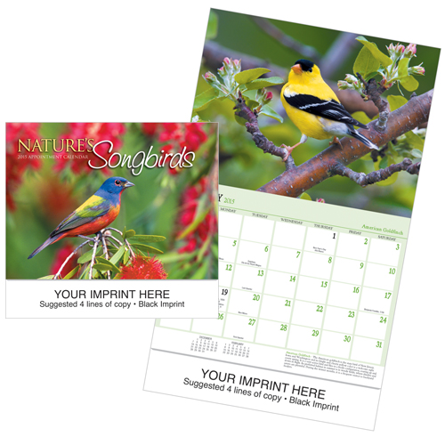 Custom Imprinted Calendar - Nature's Songbirds #875